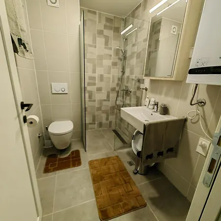 Apartment Vidra