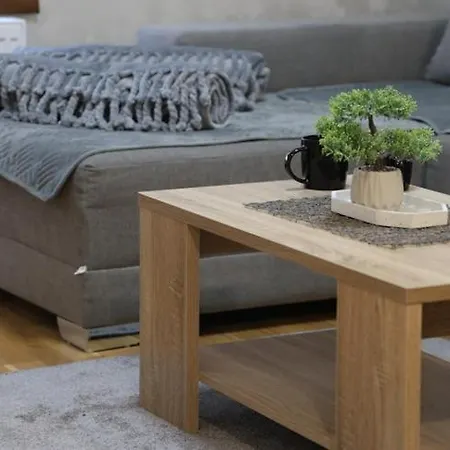 Apartment Vidra *