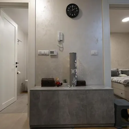 Apartment Vidra