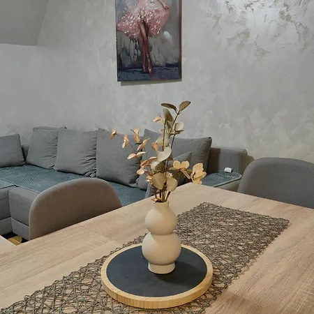 Vidra Apartment *